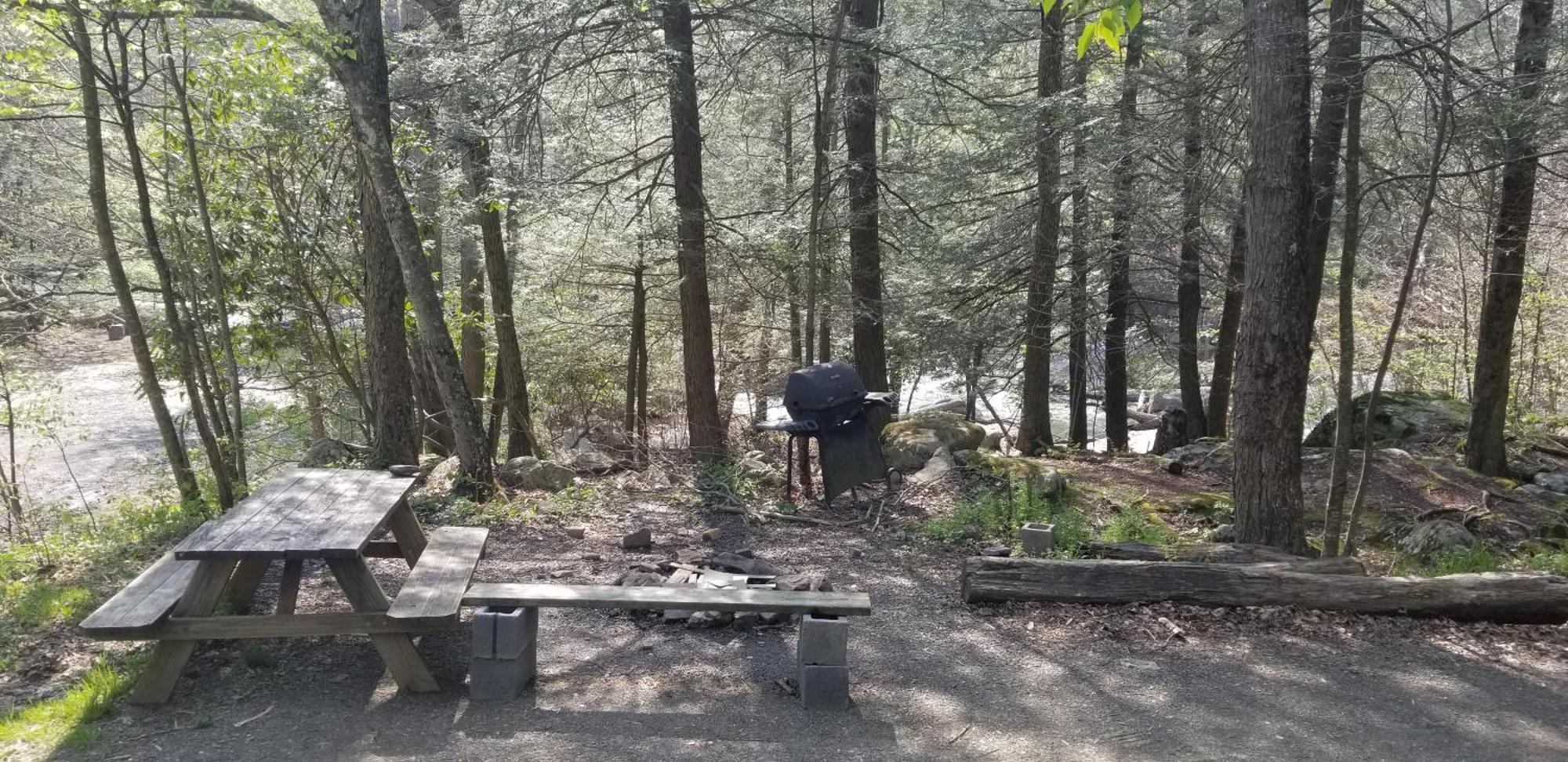 Abrams Creek Campground Mount Storm المظهر الخارجي الصورة
