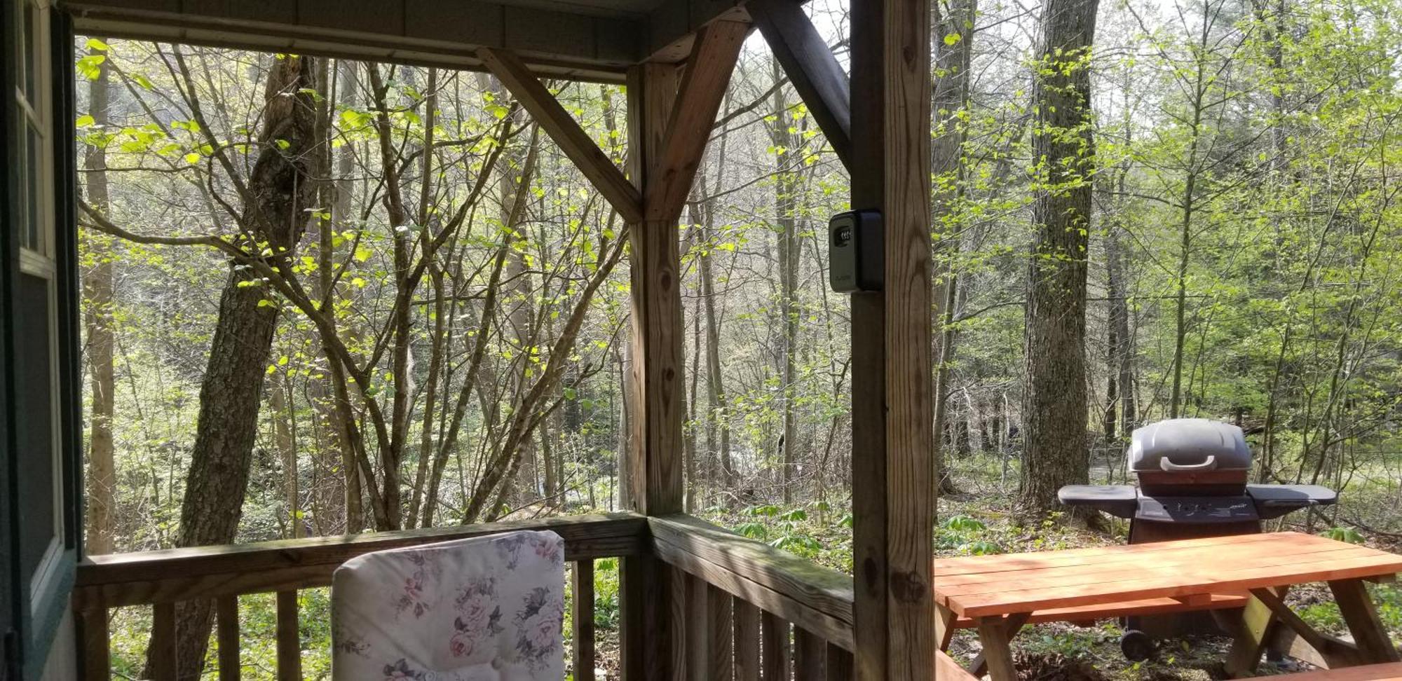 Abrams Creek Campground Mount Storm المظهر الخارجي الصورة