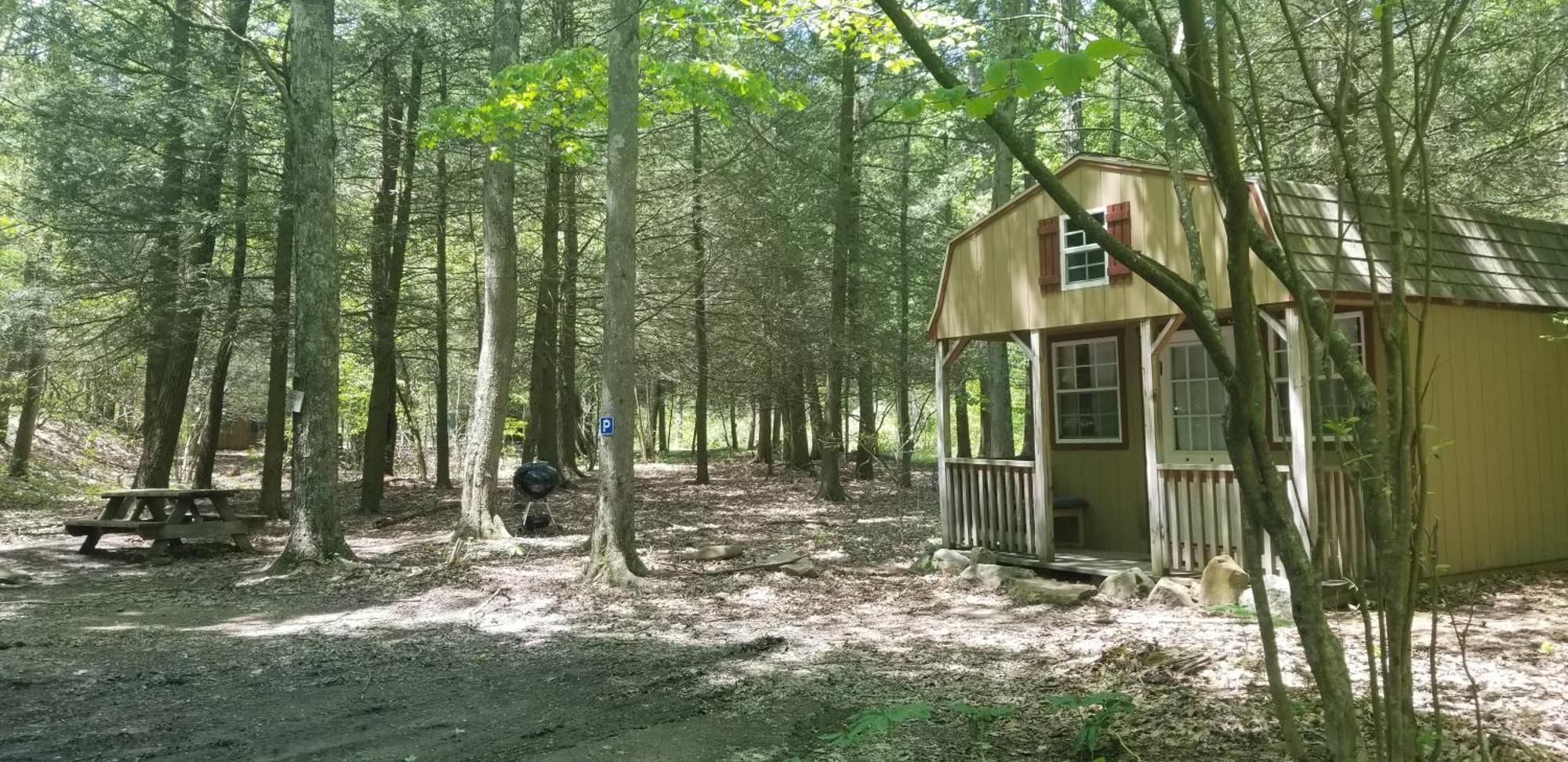 Abrams Creek Campground Mount Storm المظهر الخارجي الصورة