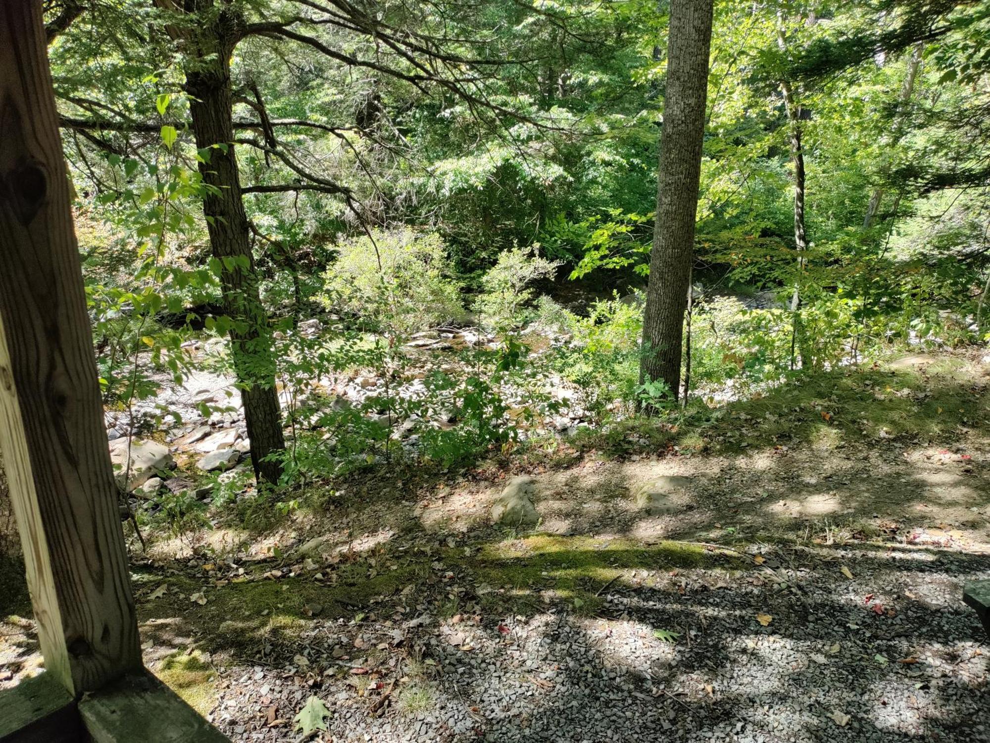 Abrams Creek Campground Mount Storm المظهر الخارجي الصورة