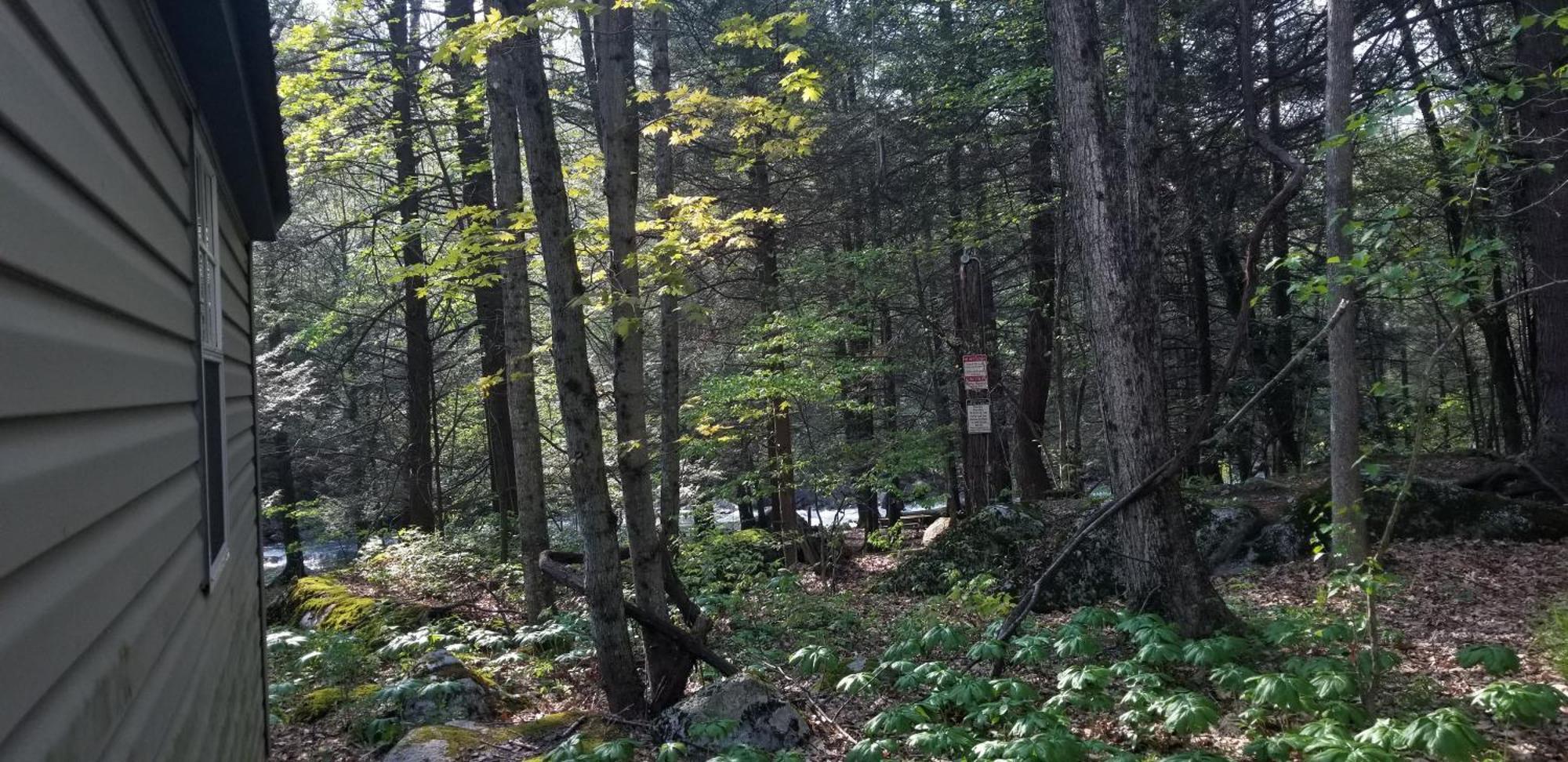 Abrams Creek Campground Mount Storm المظهر الخارجي الصورة