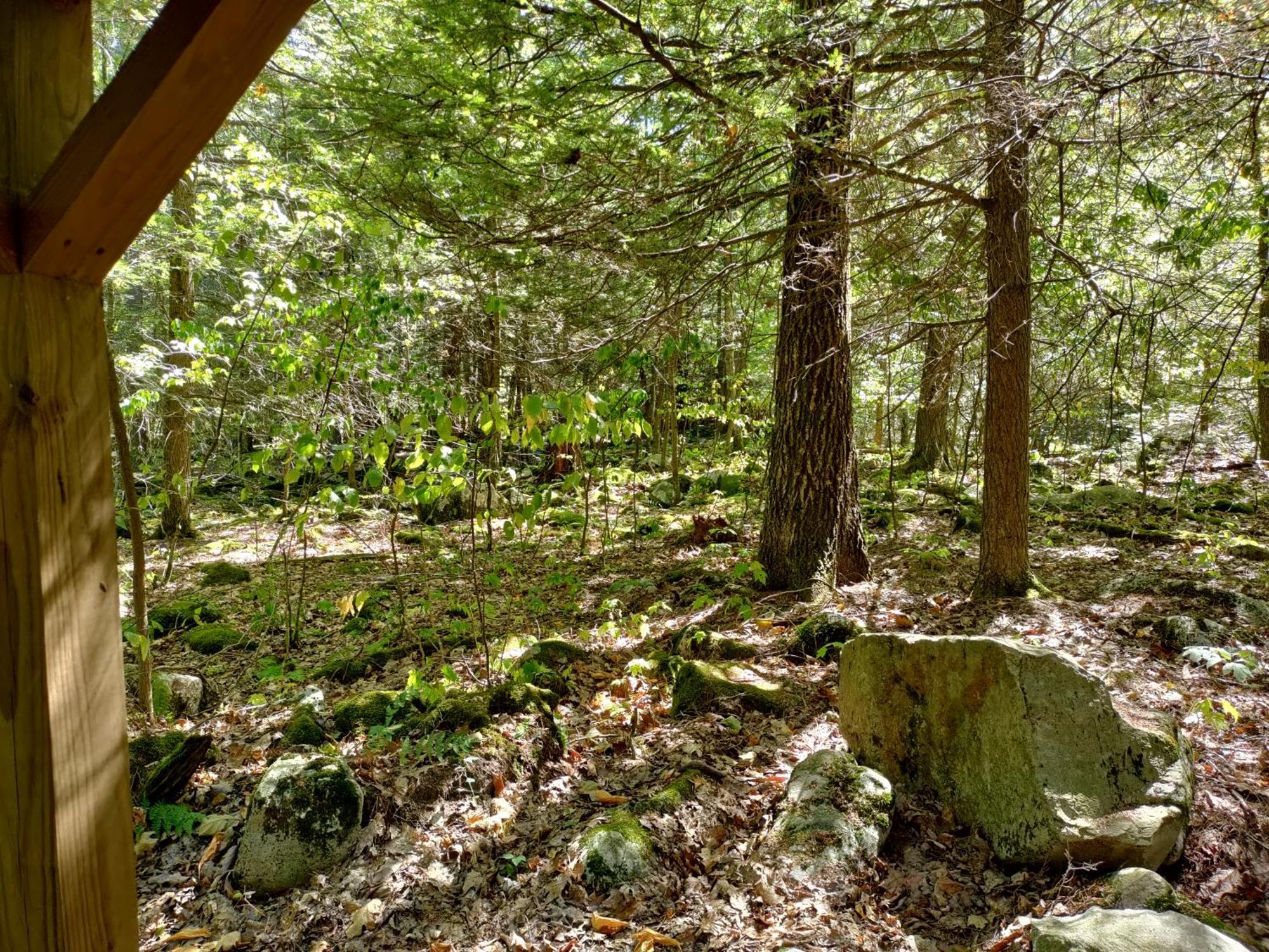 Abrams Creek Campground Mount Storm المظهر الخارجي الصورة