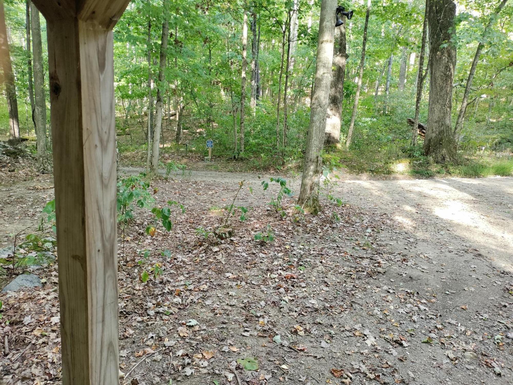 Abrams Creek Campground Mount Storm المظهر الخارجي الصورة