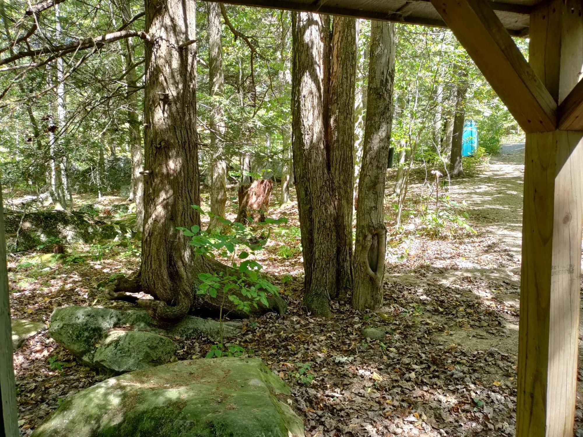 Abrams Creek Campground Mount Storm المظهر الخارجي الصورة